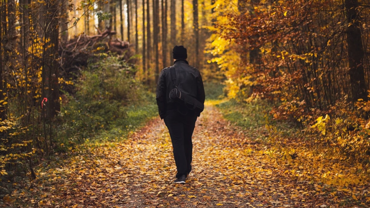 man in black jacket walking on forest during daytime